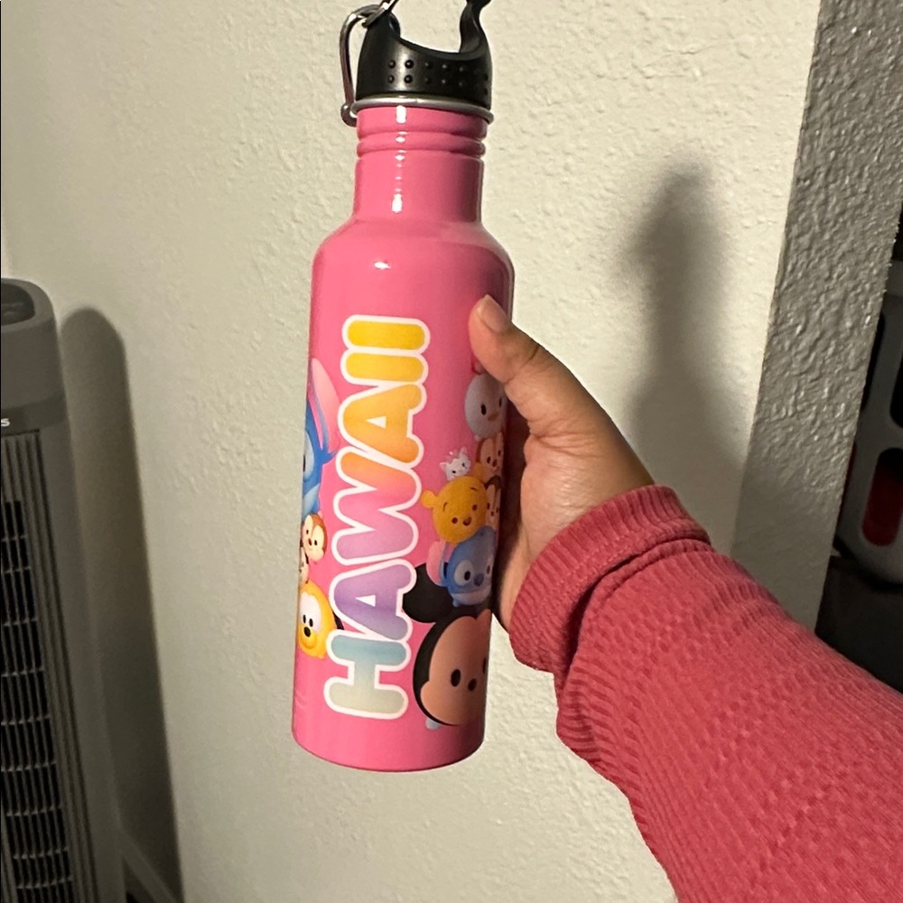 Disney Water HAWAII